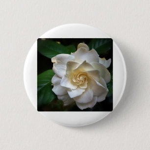 White Gardenia Button