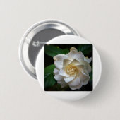 White Gardenia Button (Vorne & Hinten)