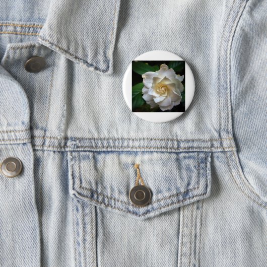 White Gardenia Button (Beispiel)