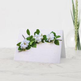 White Gardenia Flowers Karte