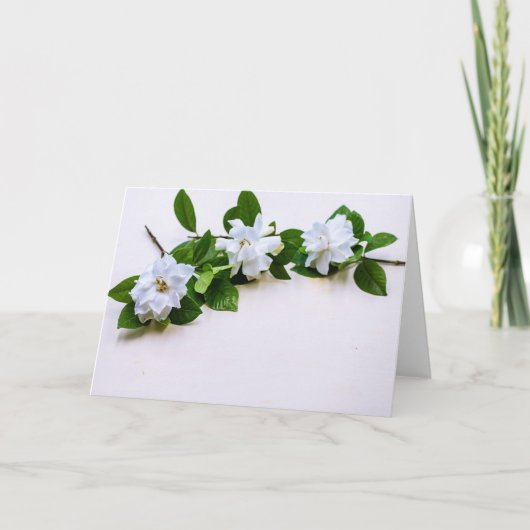 White Gardenia Flowers Karte (Vorderseite)