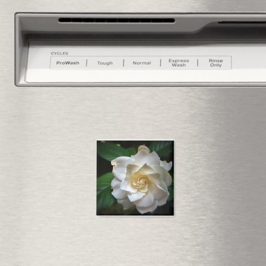 White Gardenia Magnet (In Situ (Geschirrspüler))