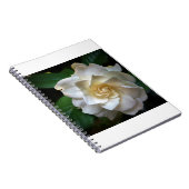 White Gardenia Notizblock (Rechte Seite)