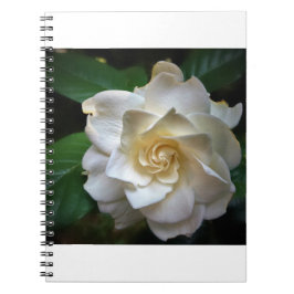 White Gardenia Notizblock