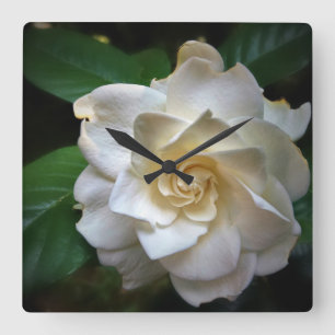 White Gardenia Quadratische Wanduhr