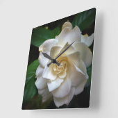 White Gardenia Quadratische Wanduhr (Winkel)