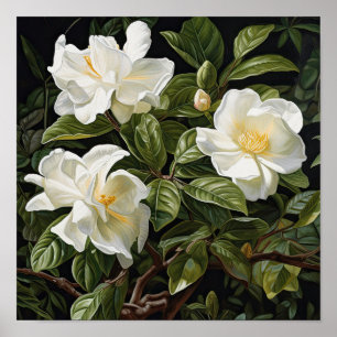 White Gardenias Blume Art Print Poster