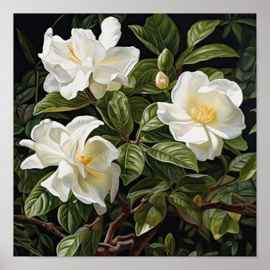 White Gardenias Blume Art Print Poster (Vorne)