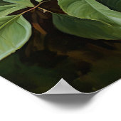 White Gardenias Blume Art Print Poster (Ecke)