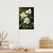 White Gardenias Blume Art Print Poster (Küche)
