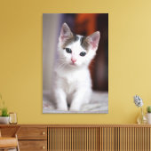 White Gepunktet Kitty Leinwanddruck (Insitu (Wohnzimmer))