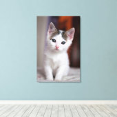 White Gepunktet Kitty Leinwanddruck (Insitu (Holzboden))