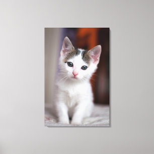 White Gepunktet Kitty Leinwanddruck