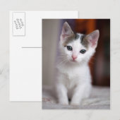 White Gepunktet Kitty Postkarte (Vorne/Hinten)