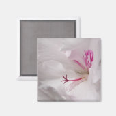 White Geranium Blume Magnet (Vorderseite/Rückseite)