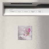 White Geranium Blume Magnet (In Situ (Geschirrspüler))