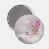 White Geranium Magnet (Vorderseite/Rückseite)