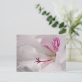 White Geranium Postcard Postkarte (Stehend Vorderseite)