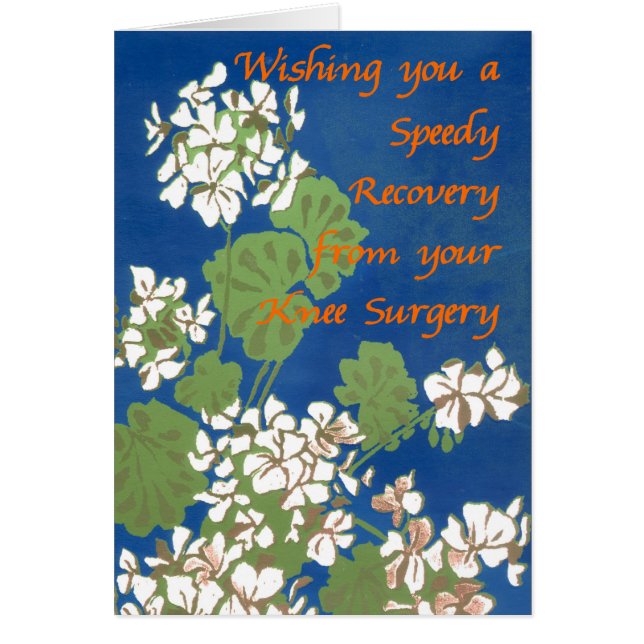 White Geraniums on Blue Get Well Knee Operation (Vorne)