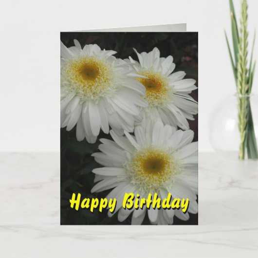 White Gerber Daisy Happy Birthday Karte (Vorderseite)