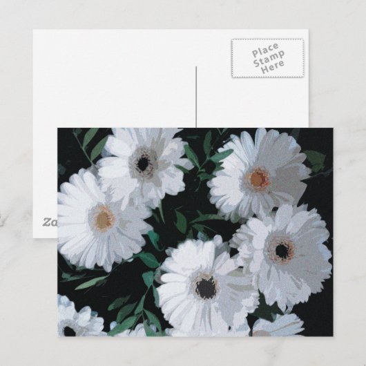 White Gerbera Daisies Postkarte (Vorne/Hinten)