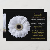White Gerbera Daisy Black Wedding Einladung (Vorne/Hinten)