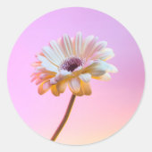 White Gerbera Daisy Sticker (Vorderseite)