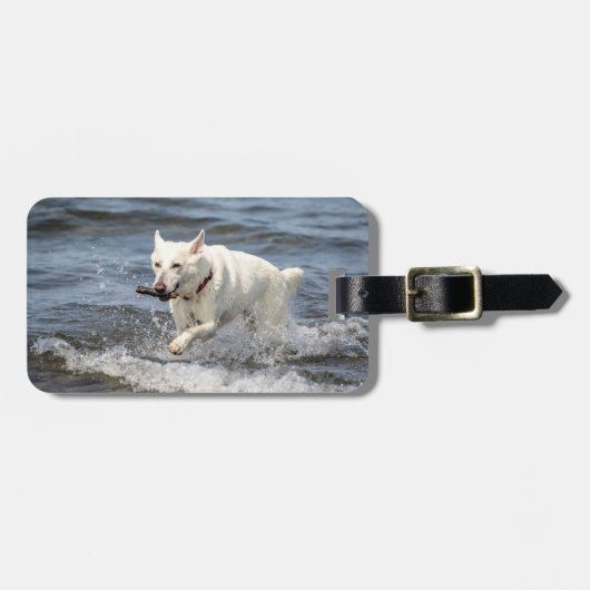 White German Shepard am George Lake Gepäckanhänger (Vorderseite horizontal)