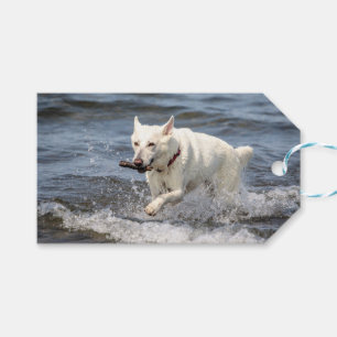 White German Shepard am George Lake Geschenkanhänger