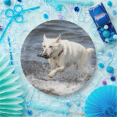White German Shepard am George Lake Pappteller (Party)