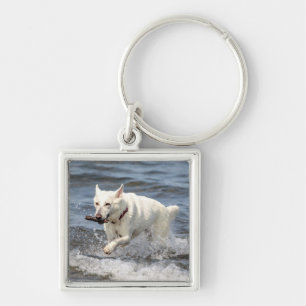White German Shepard am George Lake Schlüsselanhänger