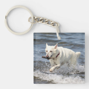 White German Shepard am George Lake Schlüsselanhänger