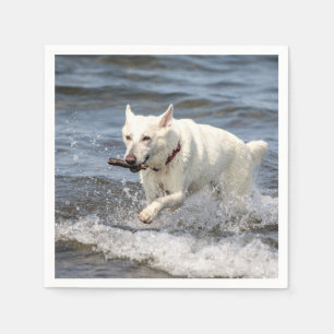 White German Shepard am George Lake Serviette