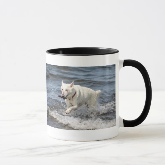 White German Shepard am George Lake Tasse (Rechts)