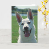 White German Shepherd Dog Karte (Gelbe Blume)