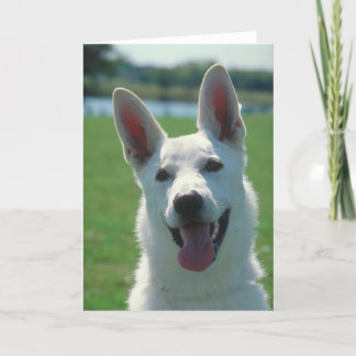 White German Shepherd Dog Karte
