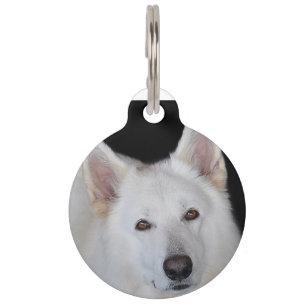 White German Shepherd Haustiermarke
