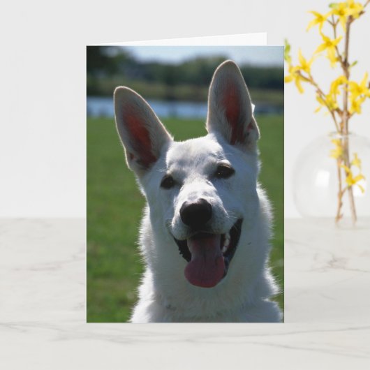 White German Shepherd Karte (Gelbe Blume)