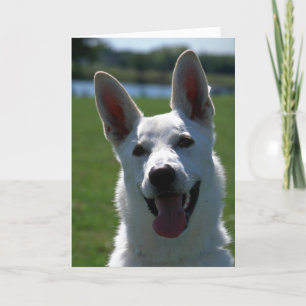 White German Shepherd Karte
