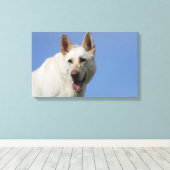 White German Shepherd Leinwanddruck (Insitu (Holzboden))