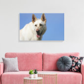 White German Shepherd Leinwanddruck (Insitu (Wohnzimmer))