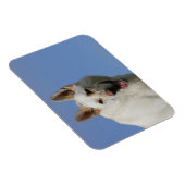 White German Shepherd Magnet (Rechte Seite)