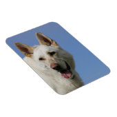 White German Shepherd Magnet (Rechte Seite)