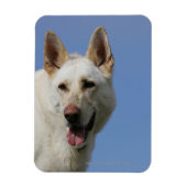 White German Shepherd Magnet (Vertikal)