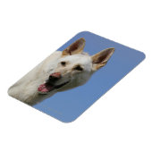 White German Shepherd Magnet (Linke Seite)