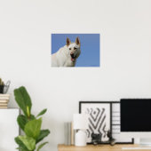 White German Shepherd Poster (Heimbüro)