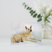 White German Shepherd Postkarte (Stehend Vorderseite)