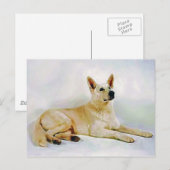 White German Shepherd Postkarte (Vorne/Hinten)