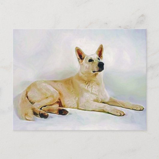 White German Shepherd Postkarte (Vorderseite)