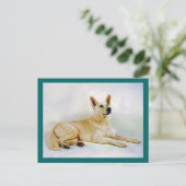 White German Shepherd Postkarte (Stehend Vorderseite)